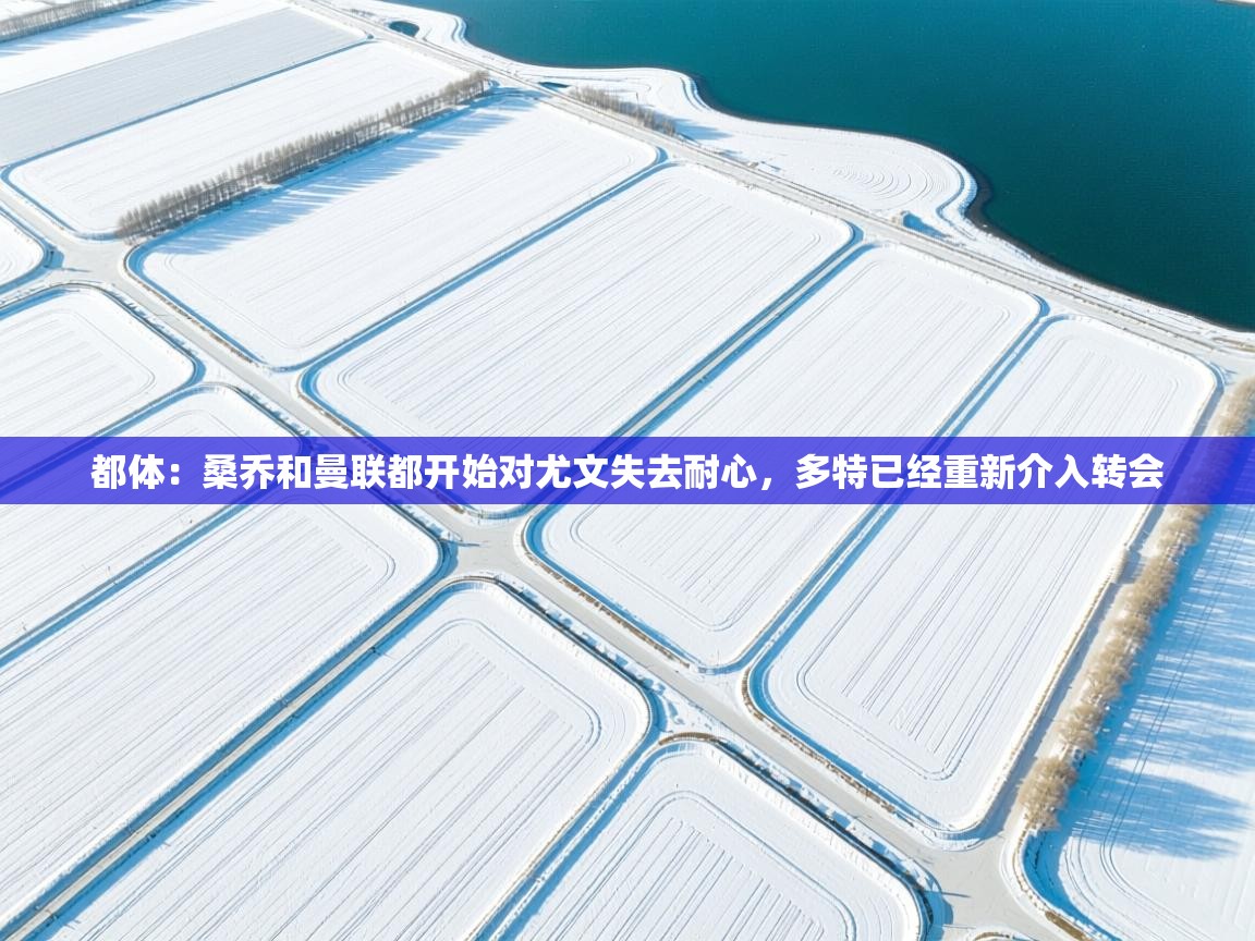 都体:桑乔和曼联都开始对尤文失去耐心,多特已经重新介入转会 第1张