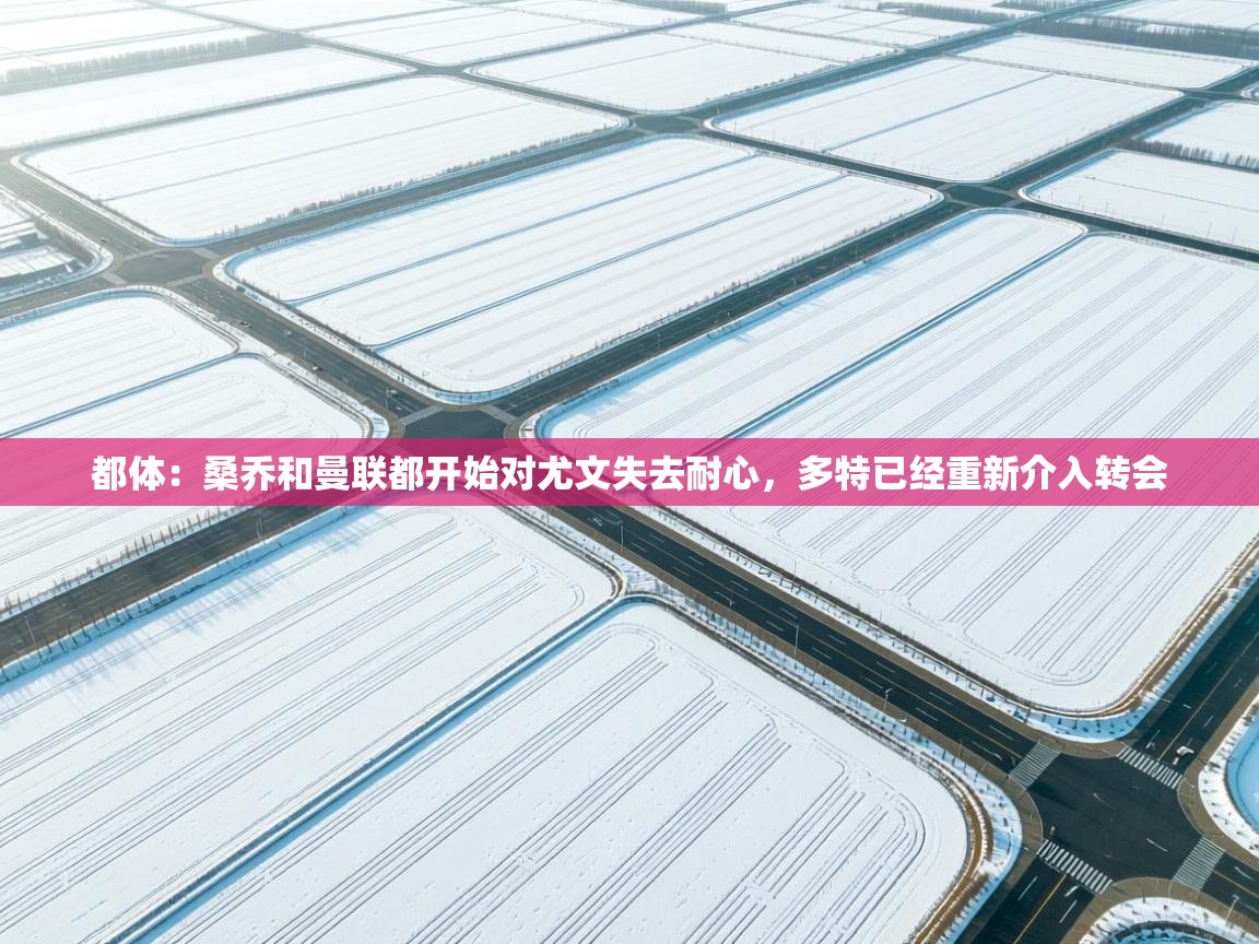 都体:桑乔和曼联都开始对尤文失去耐心,多特已经重新介入转会 第2张