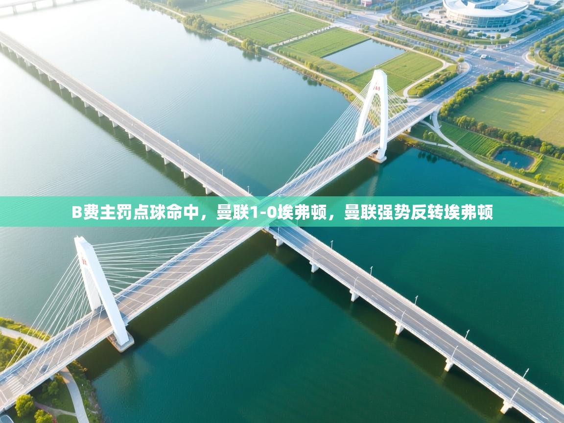 B费主罚点球命中,曼联1-0埃弗顿,曼联强势反转埃弗顿 第2张