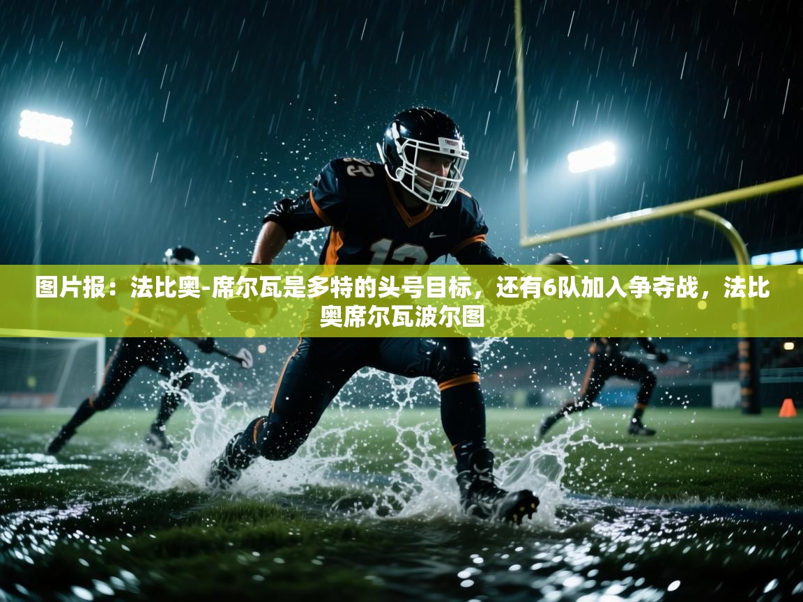 图片报:法比奥-席尔瓦是多特的头号目标,还有6队加入争夺战,法比奥席尔瓦波尔图 第2张